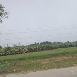 Koshi River - Gaighat