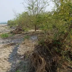 Koshi River - Gaighat