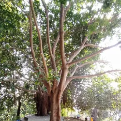 Hiking Trails Around Gaindakot - Gaindakot