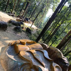 Hiking Trails Around Gaindakot - Gaindakot