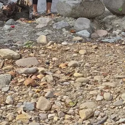 Riverside Parks and Picnic Spots - Gaindakot