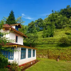 Local Village Homestays - Gulmi
