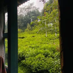 Local Village Homestays - Gulmi