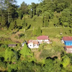 Local Village Homestays - Gulmi