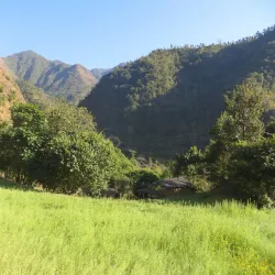 Musikot Bazaar - Gulmi