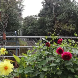 Resunga Hill - Gulmi