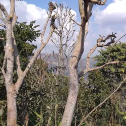 Ruru Kshetra - Gulmi