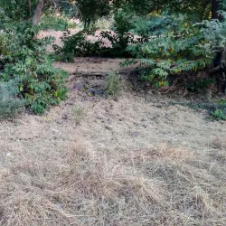 Ruru Kshetra - Gulmi