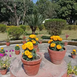 Barandabhar Forest Reserve - Hetauda