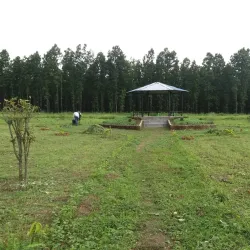 Barandabhar Forest Reserve - Hetauda