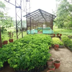 Barandabhar Forest Reserve - Hetauda