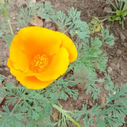 Barandabhar Forest Reserve - Hetauda