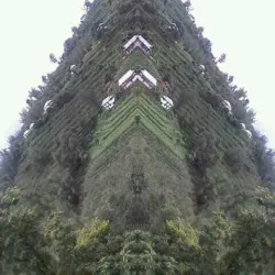 Hetauda Bazaar - Hetauda