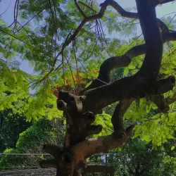 Hetauda Industrial District - Hetauda