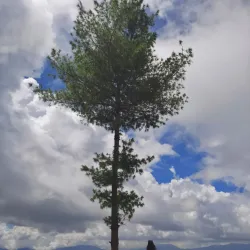 Bhanjyang Viewpoint - Ilam