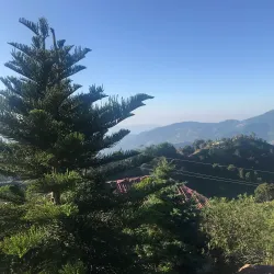 Chiyabari Tea Garden - Ilam