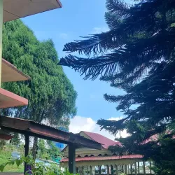 Chiyabari Tea Garden - Ilam