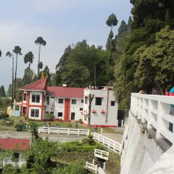 Chiyabari Tea Garden - Ilam