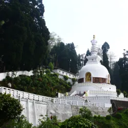 Chiyabari Tea Garden - Ilam