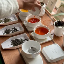 Ilam Tea Gardens - Ilam