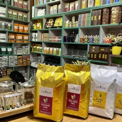 Ilam Tea Gardens - Ilam