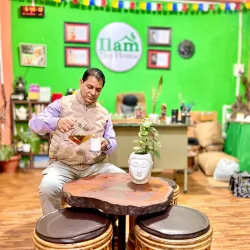 Ilam Tea Gardens - Ilam