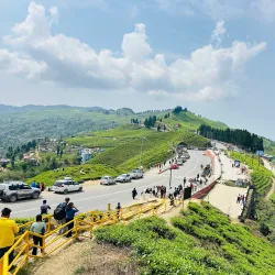 Kanyam Tea Garden - Ilam