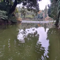 Mai Pokhari - Ilam