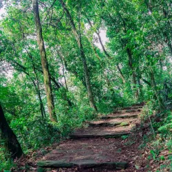 Rani Ban Waterfall - Ilam
