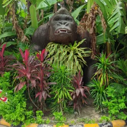 Itahari Park - Itahari