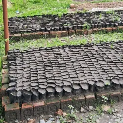 Sunsari District Museum - Itahari