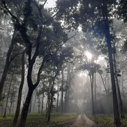 Chitwan National Park - Kawasoti