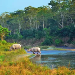 Chitwan National Park - Kawasoti