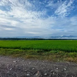 Pithauli Village - Kawasoti