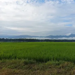 Pithauli Village - Kawasoti