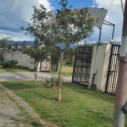 Kirtipur Museum - Kirtipur