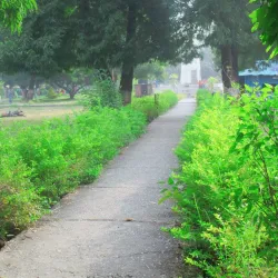 Bhimdatta Park - Mahendranagar (Bhimdatta)