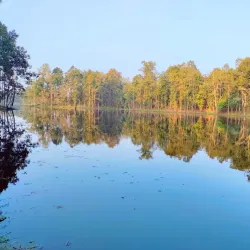 Bishazari Tal (Twenty Thousand Lakes) - Narayangarh