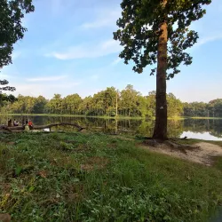 Bishazari Tal (Twenty Thousand Lakes) - Narayangarh