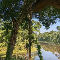 Bishazari Tal (Twenty Thousand Lakes) - Narayangarh
