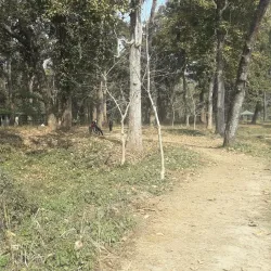 Bishazari Tal (Twenty Thousand Lakes) - Narayangarh