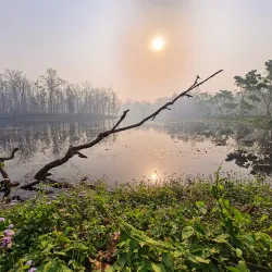 Bishazari Tal (Twenty Thousand Lakes) - Narayangarh