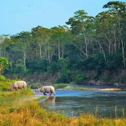 Chitwan National Park - Narayangarh