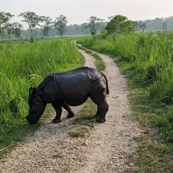 Chitwan National Park - Narayangarh