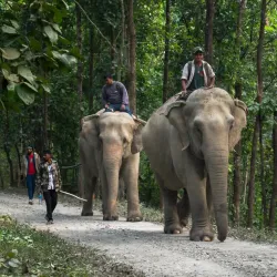 Chitwan Tharu Village - Narayangarh