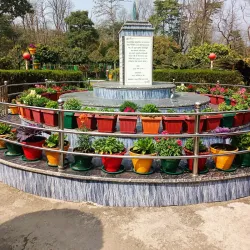 Community Forests around Narayangarh - Narayangarh