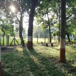 Community Forests around Narayangarh - Narayangarh