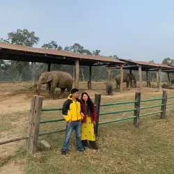 Elephant Breeding Center - Narayangarh