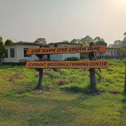 Elephant Breeding Center - Narayangarh