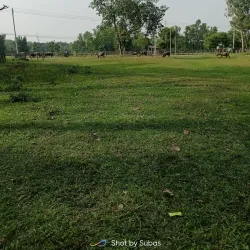 Elephant Breeding Center - Narayangarh